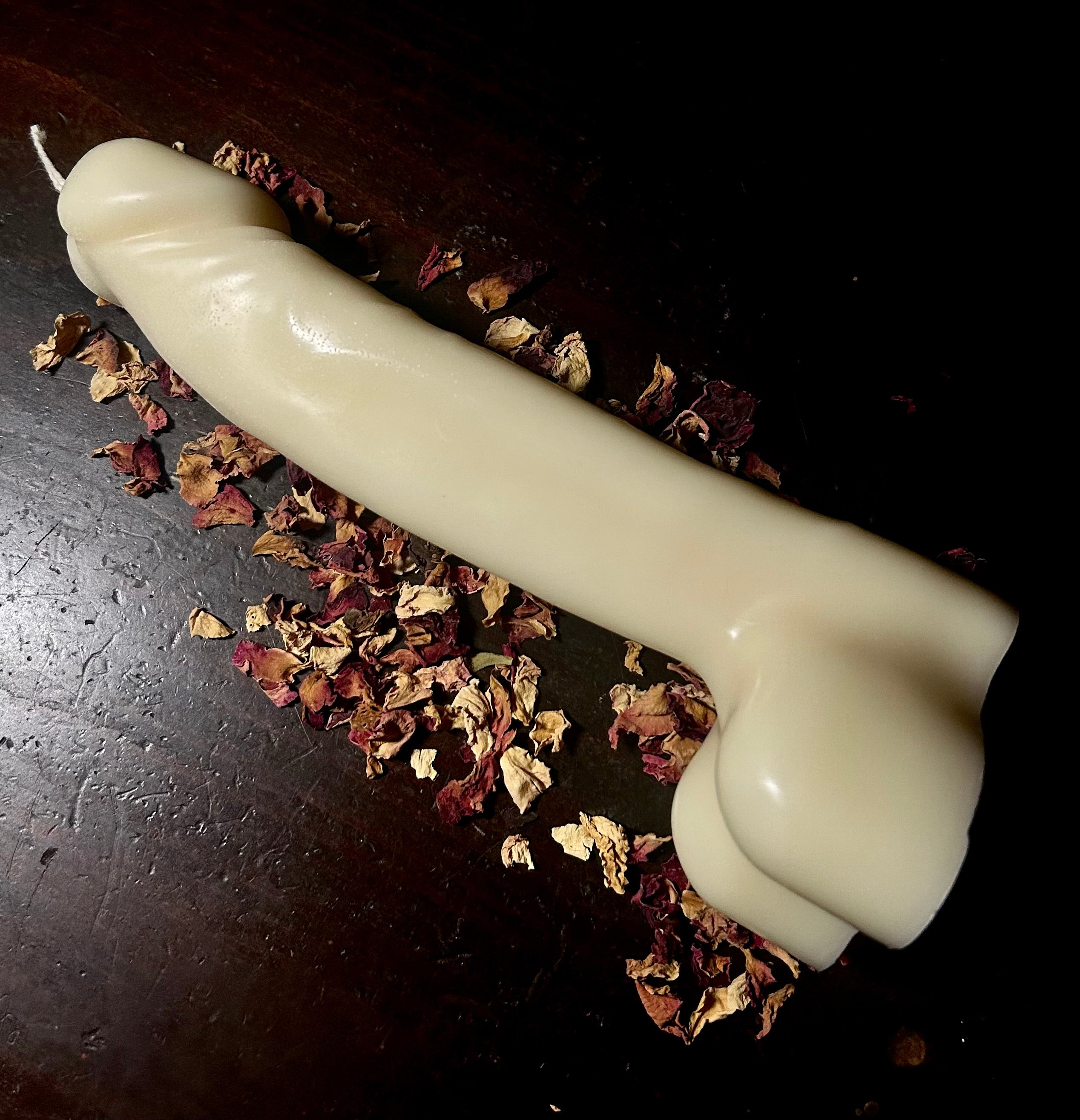 Phallus