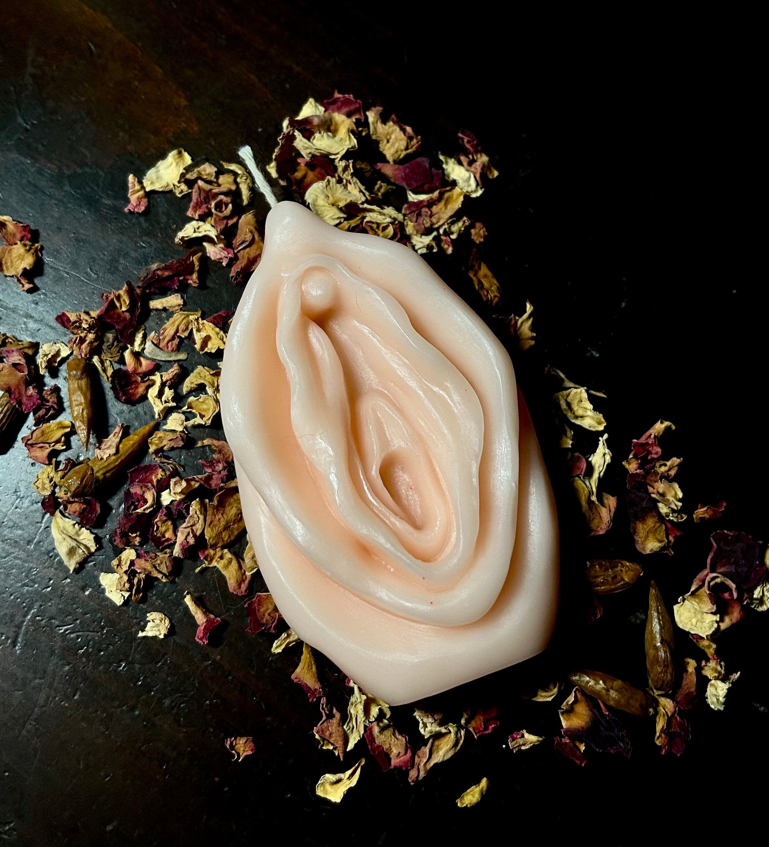 Vulva