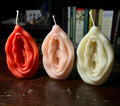 Vulva