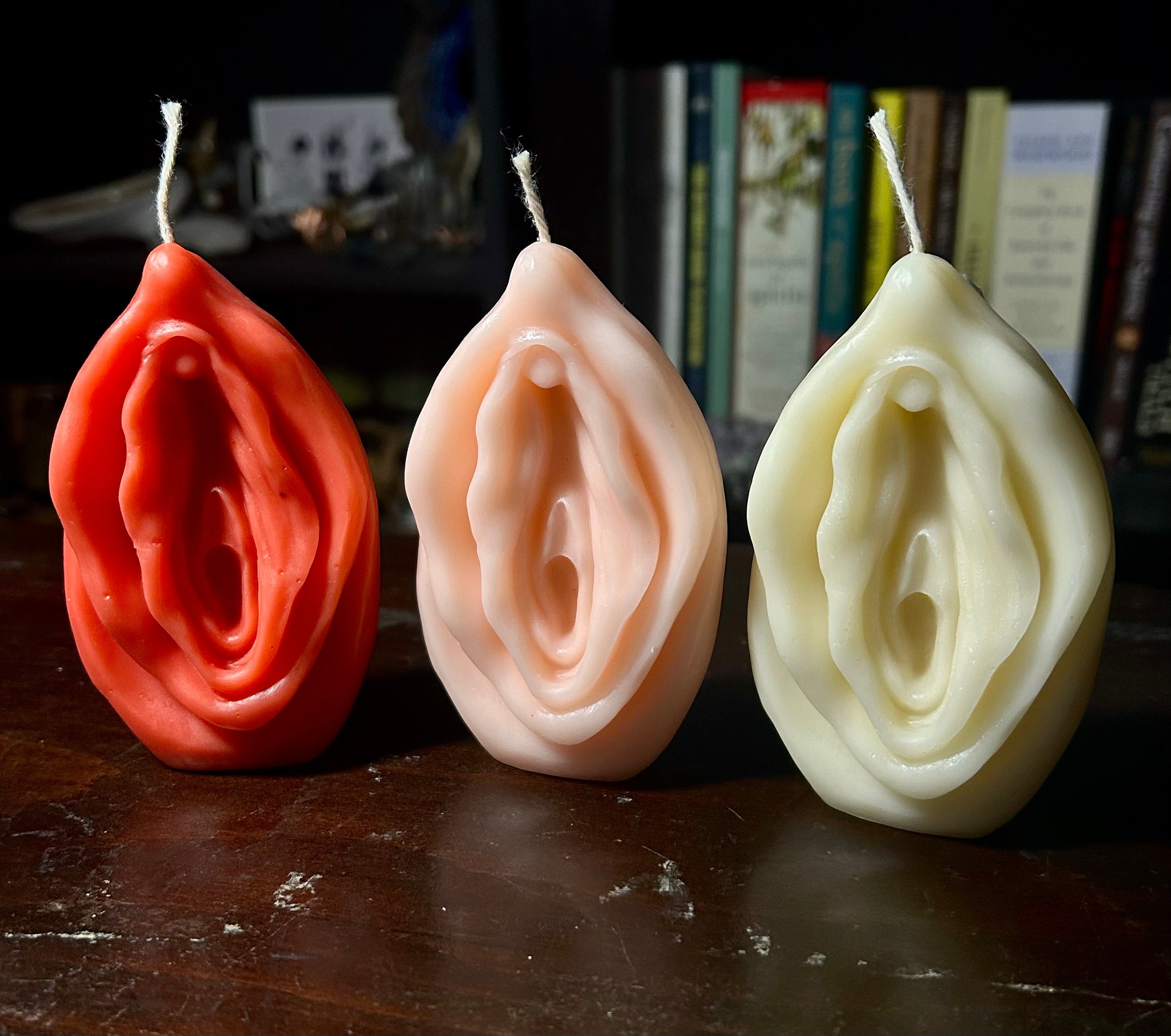 Vulva